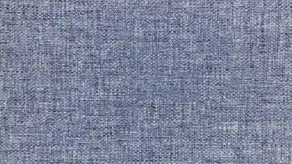 Chambray-1.jpg