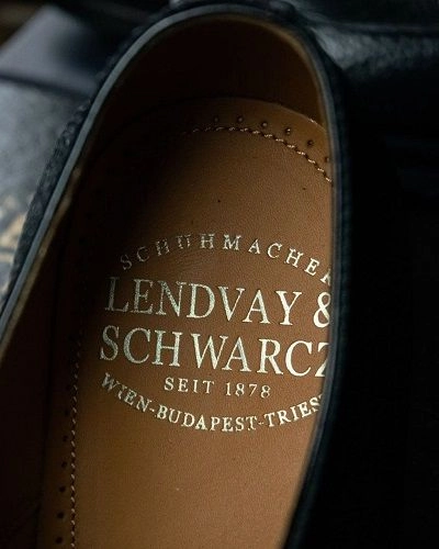 Lendvay & Schwarcz.jpg